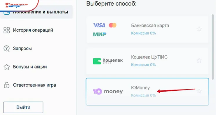 Касса букмекера: выбор способа выплаты — банковская карта, кошелёк ЦУПИС или ЮMoney с комиссией 0%